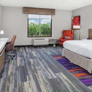 King Room Mobility accessible